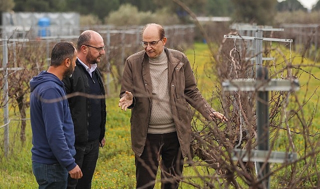 Buca’nın lezzetli razakı üzümü coğrafi işaret almaya hazırlanıyor