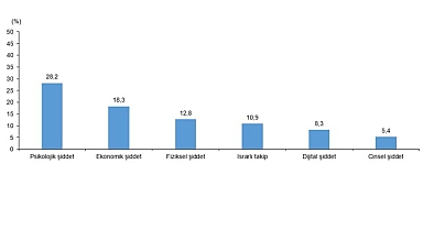 Türkiye Kadına Yönelik Şiddet Araştırması, 2024